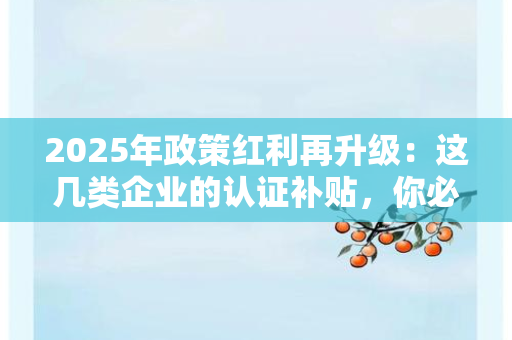 北京证书行业2025年观察：政策、资本与技术三重驱动下的新变局